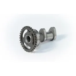 HOT CAMS 2067-2IN CAMSHAFT INTAKE