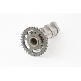 HOT CAMS 4002-1IN CAMSHAFT INTAKE