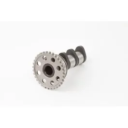 HOT CAMS 4023-1IN CAMSHAFT INTAKE