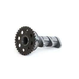 HOT CAMS 4302-3IN CAMSHAFT INTAKE