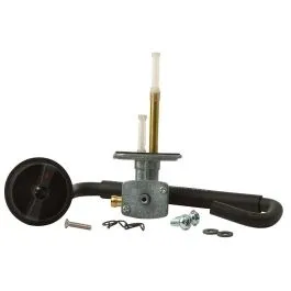 FUEL STAR FS101-0040 FUEL VALVE KIT