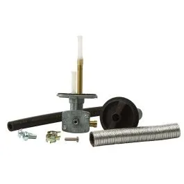 FUEL STAR FS101-0041 FUEL VALVE KIT