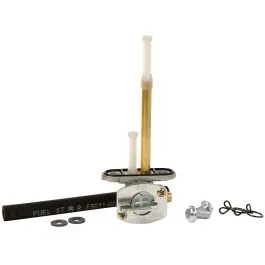 FUEL STAR FS101-0056 FUEL VALVE KIT