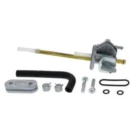 FUEL STAR FS101-0137 FUEL VALVE KIT