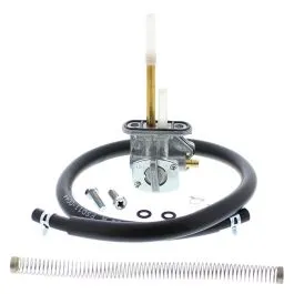 FUEL STAR FS101-0138 FUEL VALVE KIT