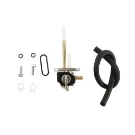 FUEL STAR FS101-0198 FUEL VALVE KIT