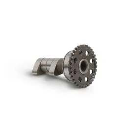 HOT CAMS HC00119 CAMSHAFT INTAKE