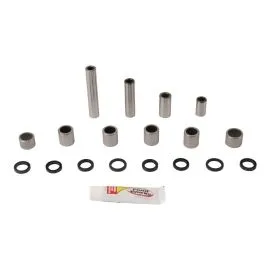 PIVOT WORKS PWLK-H72-000 LINKAGE BEARING KIT