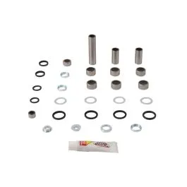 PIVOT WORKS PWLK-Y39-000 LINKAGE BEARING KIT