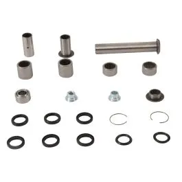 PIVOT WORKS PWLK-Y42-000 LINKAGE BEARING KIT