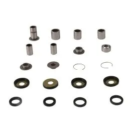 PIVOT WORKS PWLK-Y43-000 LINKAGE BEARING KIT