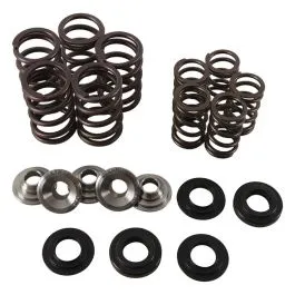 HOT CAMS SKYFM660S2 VALVE SPRING KIT