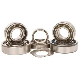 HOT RODS TBK0067 TRANSMISSION BEARING KIT
