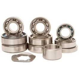 HOT RODS TBK0076 TRANSMISSION BEARING KIT