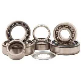 HOT RODS TBK0090 TRANSMISSION BEARING KIT