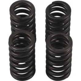 HOT CAMS VSK2002 VALVE SPRING KIT